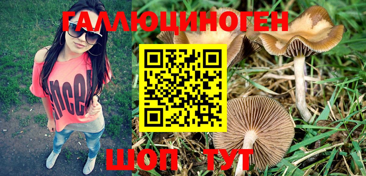 Псилоцибиновые грибы ЛСД Ступино