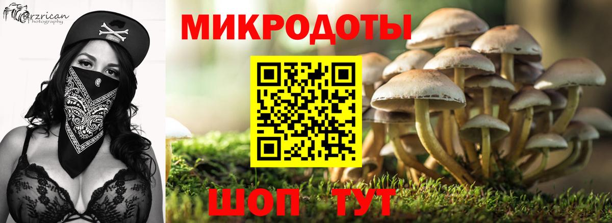 где можно купить наркотик  Вход с VPN  Ступино  Галлюциногенные грибы Cubensis 